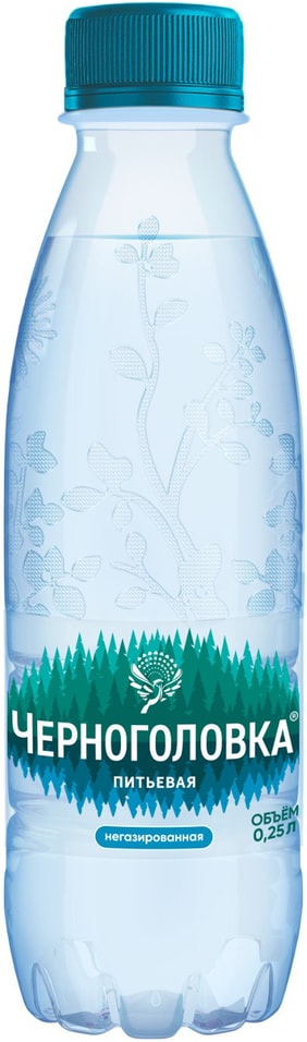 Вода Черноголовка питьевая негазированная 250мл 40₽
