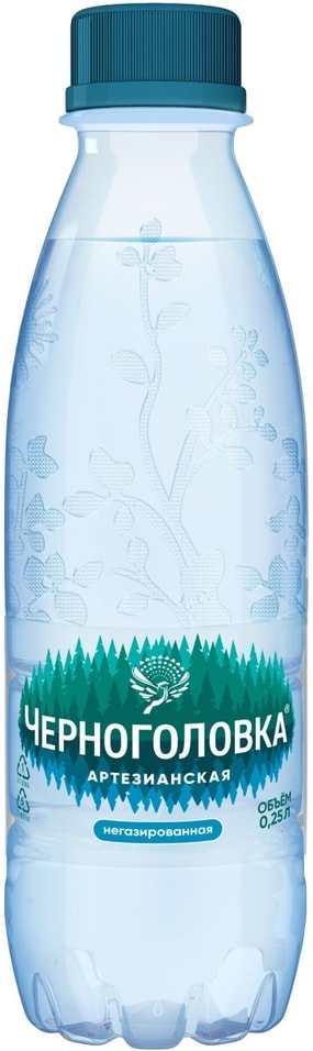 Вода Черноголовка для детей негазированная 250мл 25₽