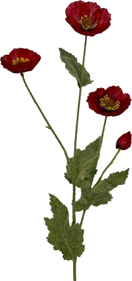 Мак красный 78см - Vprokru Перекрёсток 294₽