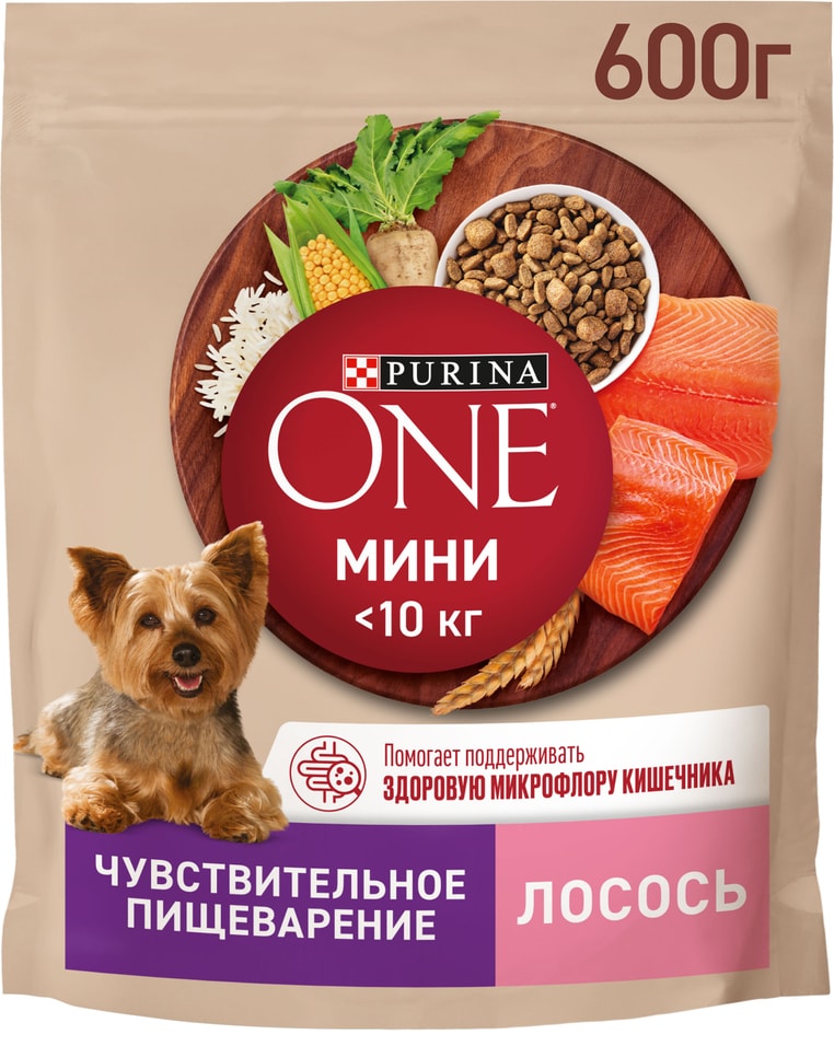 Сухой корм для собак Purina ONE для мелких пород с чувствительным пищеварением с лососем и рисом 600г 249₽