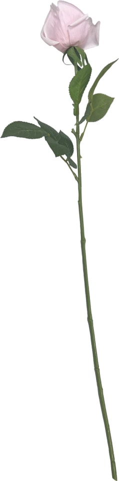 Роза розовая 64см - Vprokru Перекрёсток 264₽