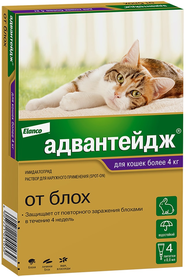 Капли для кошек Bayer Адвантейдж более 4кг от блох 4 пипетки*0.8мл