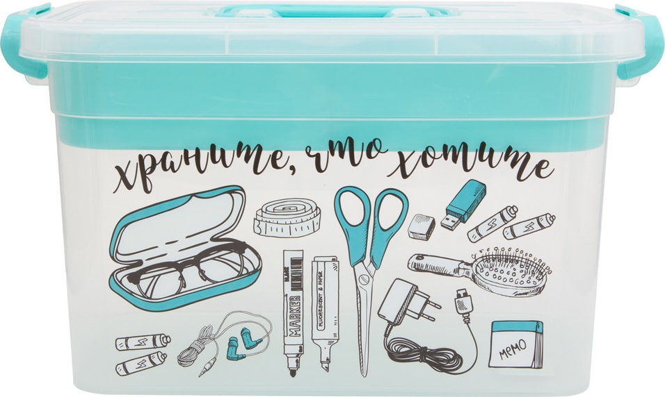 Контейнер для хранения Важные мелочи с вкладышем 31*20*18см 6.5л