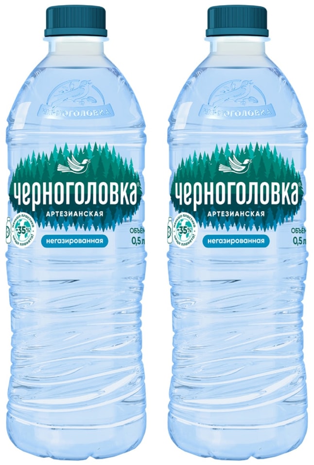 Вода Черноголовка артезианская негазированная 500мл 49₽