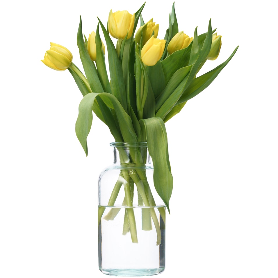 Букет желтых пионовидных тюльпанов 7шт Закажите онлайн 999₽