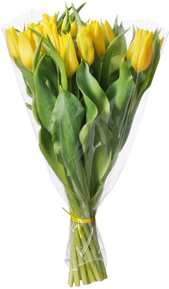Букет желтых Тюльпанов 15 штук - Vprokru Перекрёсток 1999₽