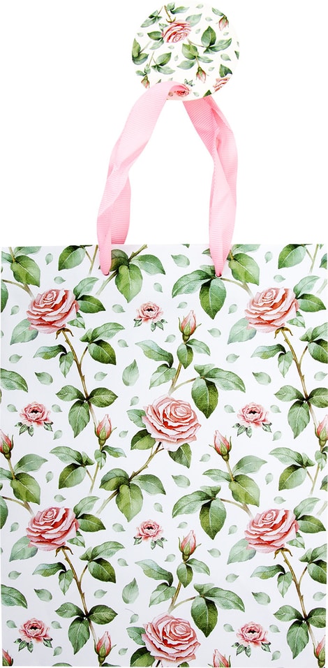 Пакет подарочный 17.8*22.9*9.8см