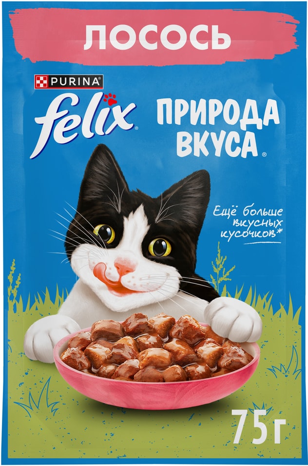 Влажный корм для кошек Felix Природа вкуса с лососем 75г упаковка 26 шт 623₽