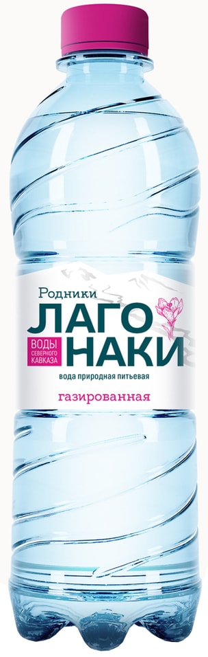 Вода Родники Лаго-Наки природная питьевая газированная 500мл