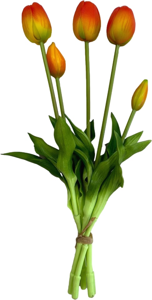 Тюльпаны 5 цветочков красные 40см - Vprok.ru Перекрёсток