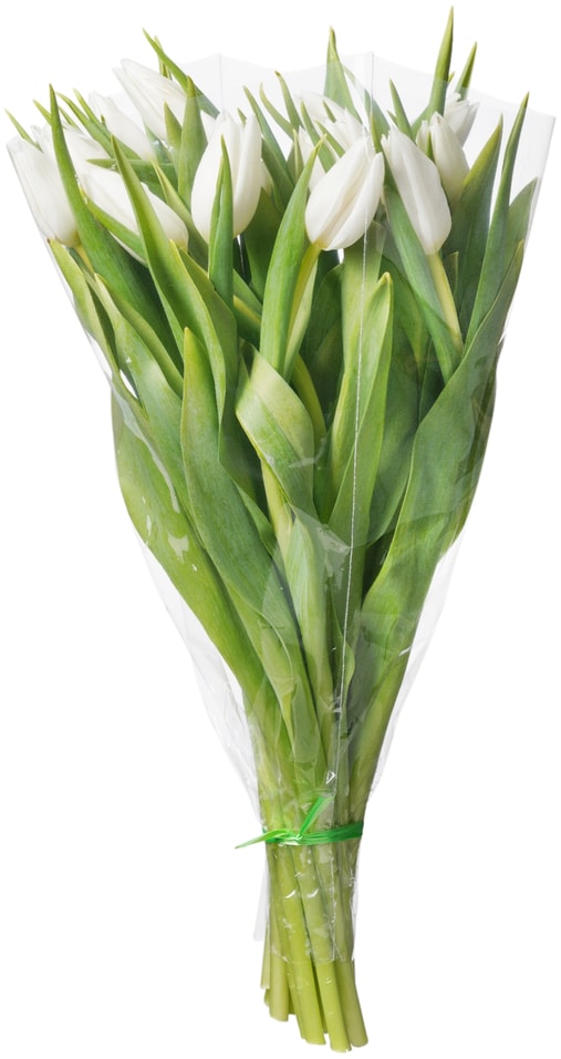 Букет белых Тюльпанов 15 штук - Vprokru Перекрёсток 1999₽