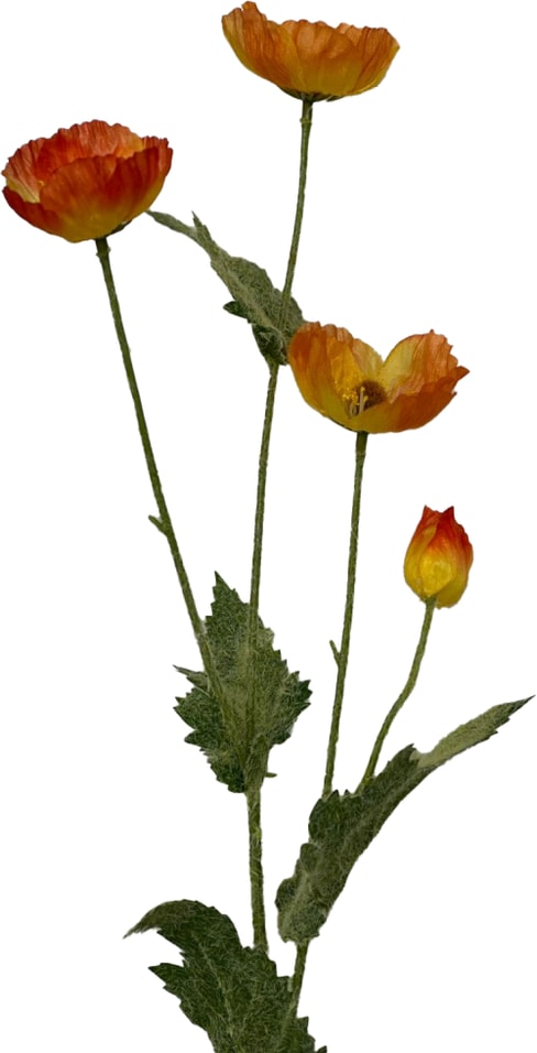 Мак оранжевый 78см - Vprokru Перекрёсток 294₽
