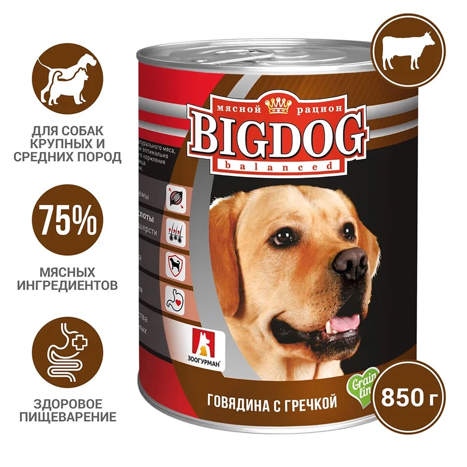 Корм для собак Зоогурман Big Dog balanced Говядина с гречкой 850г (упаковка 6 шт.)
