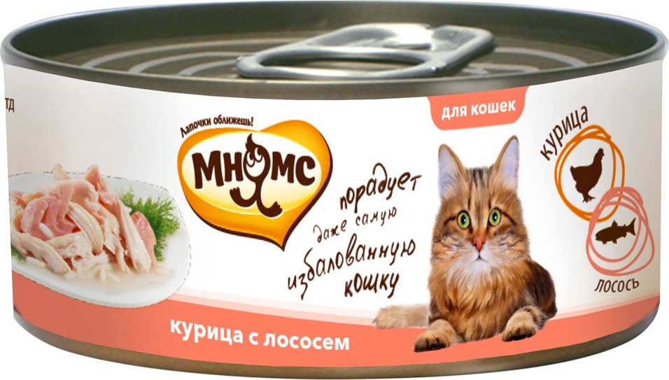 Влажный корм для кошек Мнямс Курица с лососем в нежном желе 70г (упаковка 6 шт.)