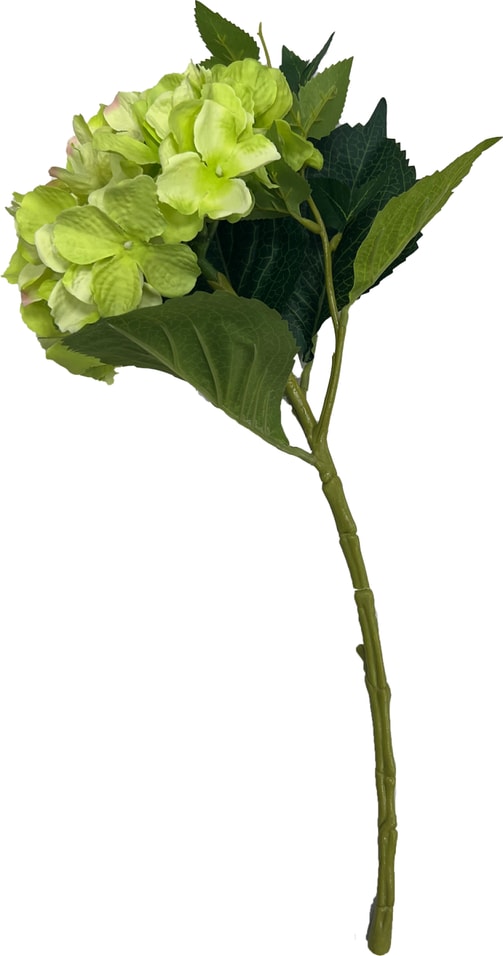 Гортензия зеленая 35см - Vprokru Перекрёсток 350₽