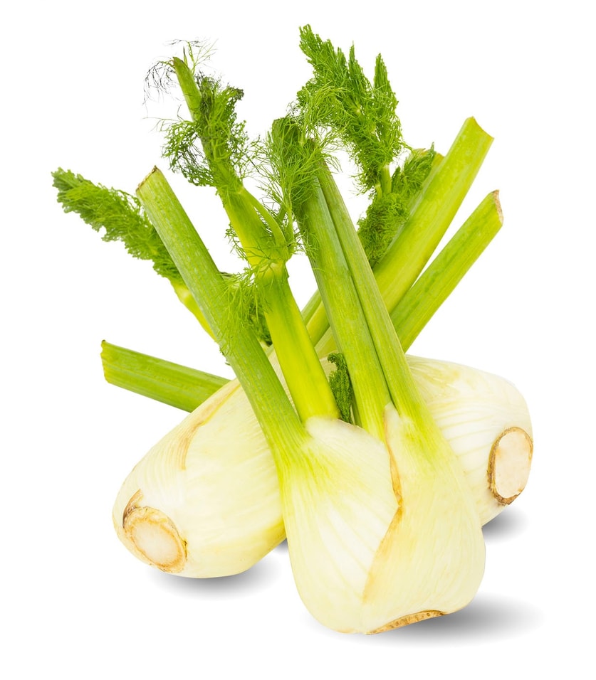Фенхель 2шт. С доставкой на дом - Vprok.ru Перекрёсток