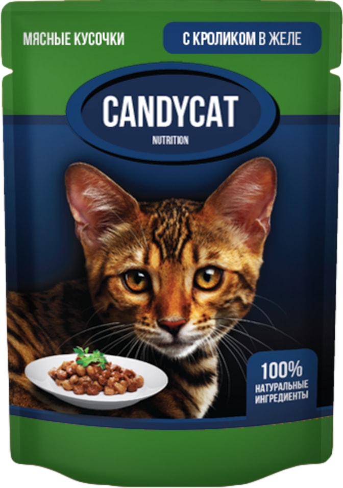 Влажный корм для кошек CandyCat Кролик в желе 85г
