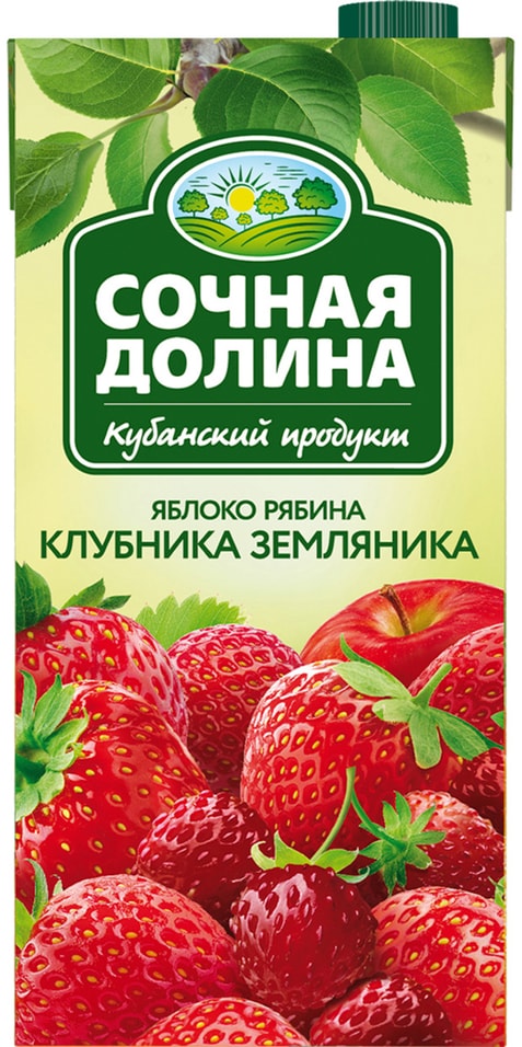 Напиток сокосодержащий Сочная Долина Яблоко-Рябина-Клубника-Земляника 1.93л