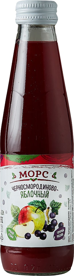 Морс 24 Вкуса Черносмородиново-яблочный 200мл