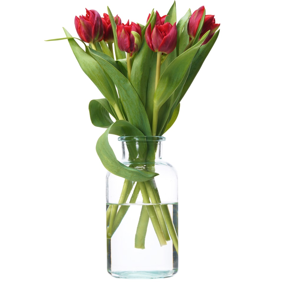 Букет красных пионовидных тюльпанов 7штс доставкой 1490₽