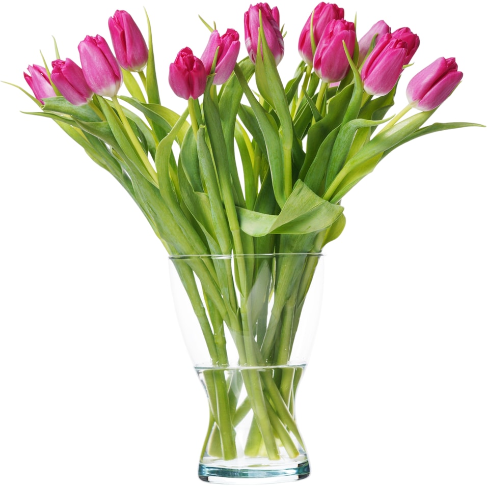Букет розовых Тюльпанов 15 штук - Vprokru Перекрёсток 1990₽