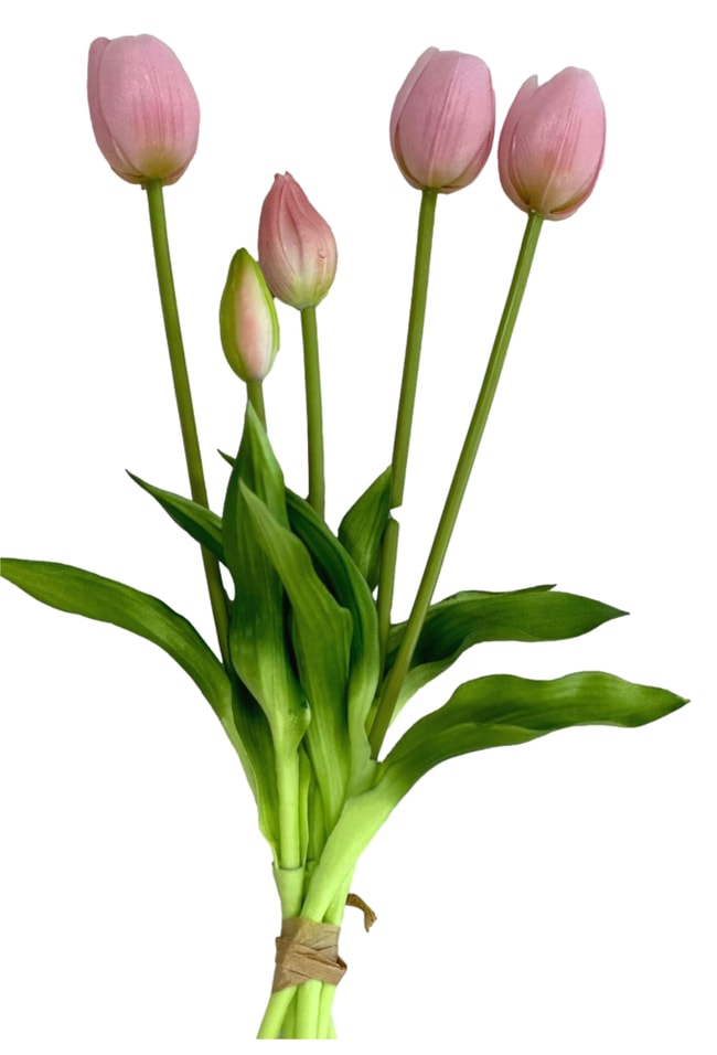 Тюльпаны 5 цветочков розовые 40см - Vprok.ru Перекрёсток