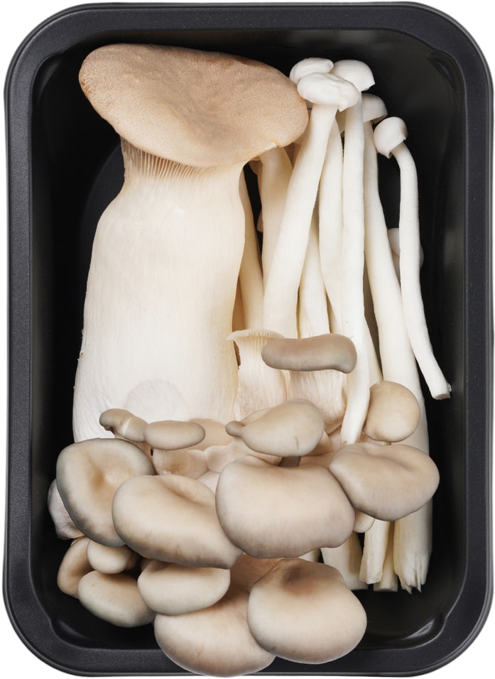 Грибы Есть грибы Вешенки эринги шимеджи для супа по-алтайски 210г