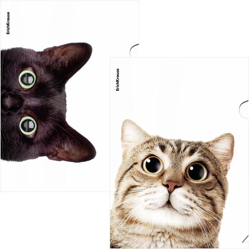 Папка-уголок ErichKrause Hiding Cats пластиковая A4 в ассортименте