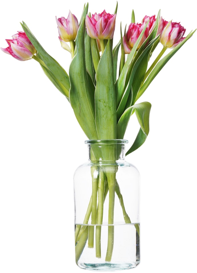 Букет розовых пионовидных тюльпанов 7штс доставкой 1490₽