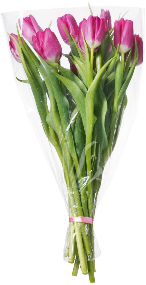 Букет розовых Тюльпанов 15 штук - Vprokru Перекрёсток 1999₽