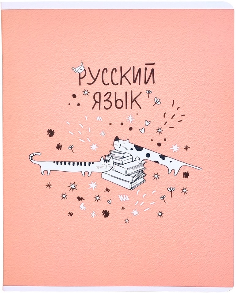 Тетрадь общая Be Smart Feed us Русский язык 165*203мм линейка 48л