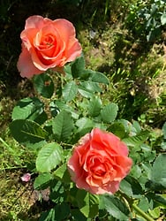 фото 2