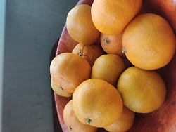 фото 9